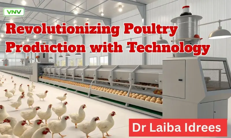Technology in Poultry