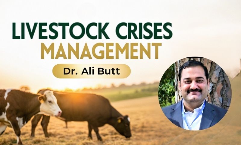 Livestock Crisis Management by Dr ali butt