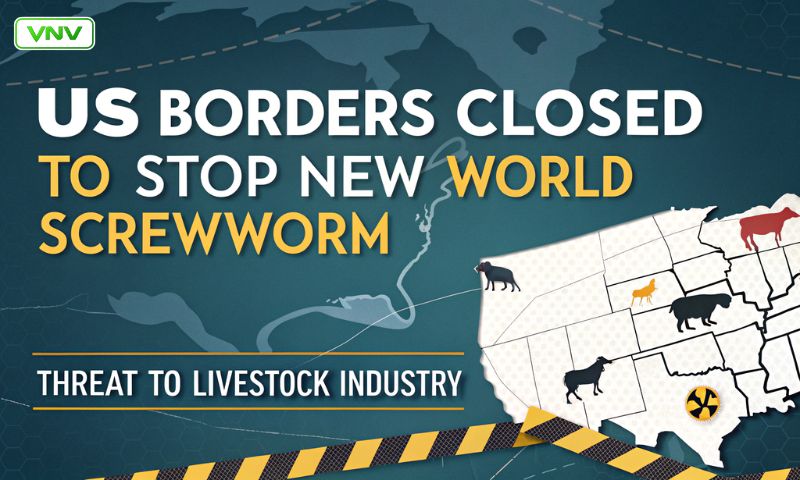 US Borders Closed to Stop New World Screwworm – Threat to Livestock Industry