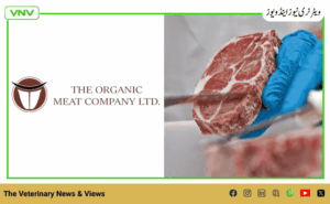 TOMCL: 95% Audit Score in UAE, $3.24 Million Beef Orders of Halal Meat from Tajikistan