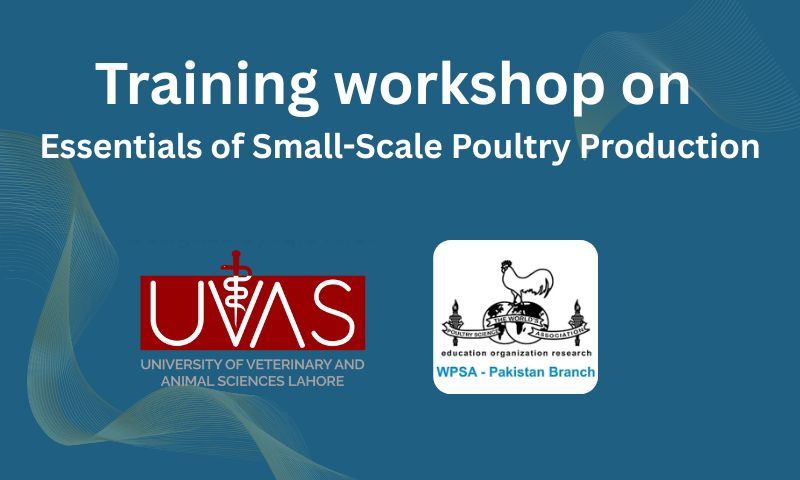 Essentials of Small Scale Poultry Production