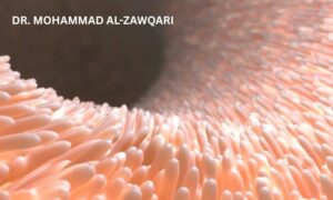 𝗣𝗿𝗼𝗯𝗶𝗼𝘁𝗶𝗰𝘀 𝗮𝗻𝗱 𝗦𝗵𝗼𝗿𝘁-𝗖𝗵𝗮𝗶𝗻 𝗙𝗮𝘁𝘁𝘆 𝗔𝗰𝗶𝗱𝘀 (𝗦𝗖𝗙𝗔𝘀) 𝗶𝗻 𝗣𝗼𝘂𝗹𝘁𝗿𝘆