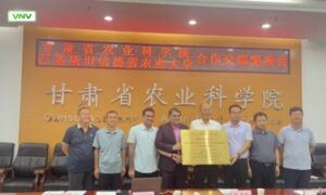 Chinese High-Yield Varieties May Revive Pakistan’s Flaxseed Production