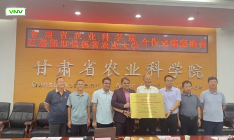 Chinese High-Yield Varieties May Revive Pakistan’s Flaxseed Production