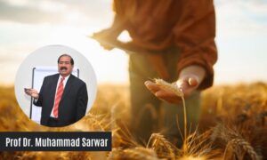 Agricultural Price Protection: Safeguarding Pakistan’s Food & Farmer Future