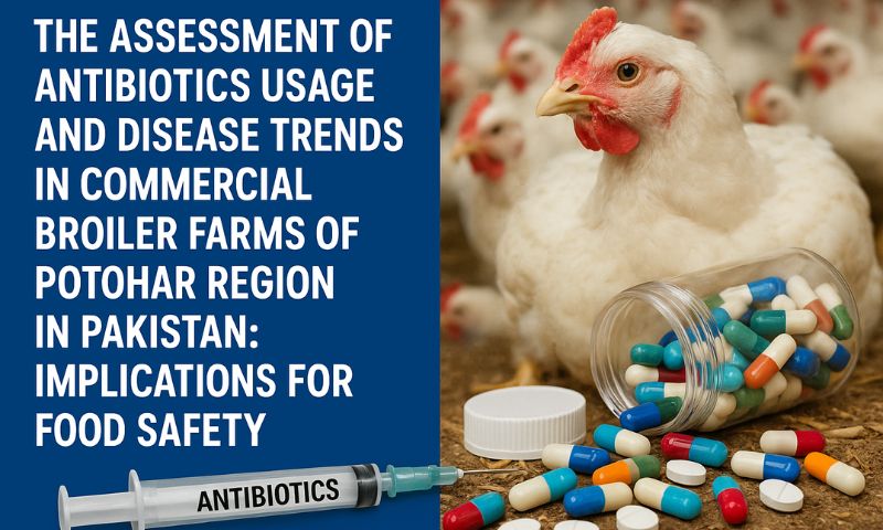 THE ASSESSMENT OF ANTIBIOTICS USAGE AND DISEASE TRENDS IN COMMERCIAL BROILER FARMS OF POTOHAR REGION IN PAKISTAN: