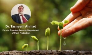 NAFSA – Reform or Regression?