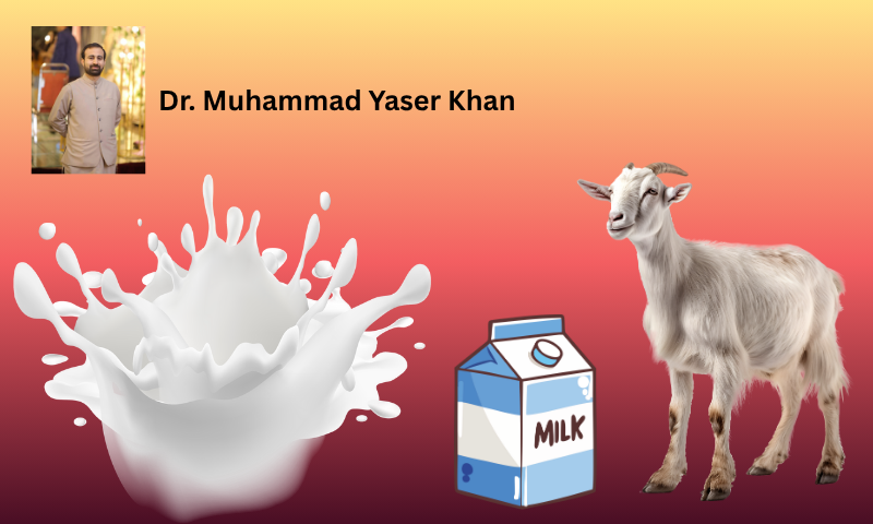 Is Raw Goat Milk Safe? New Study Reveals Shocking Health Threats