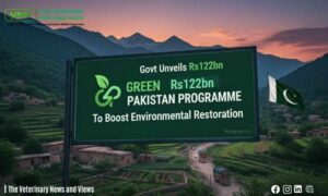 Govt Unveils Rs122bn Green Pakistan Programme to Boost Environmental Restoration
