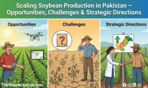 Scaling Soybean Production in Pakistan – Opportunities, Challenges & Strategic Directions