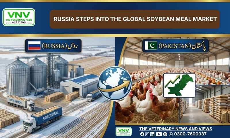 Russia Steps into the Global Soybean Meal Market