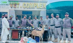 Major Wildlife Enforcement Operations in Lahore: 7 Arrested, Fines Near PKR 400,000 Imposed