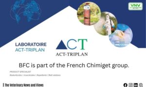 ACT-TRIPLAN | VNV International Company Introduction