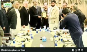 TDAP–QCCI Consultative Meeting Highlights Balochistan’s Horticulture & Olive Export Potential