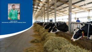 Post-Calving Nutrition Management to Prevent Metabolic Disorders in Dairy Cows