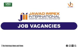 Job