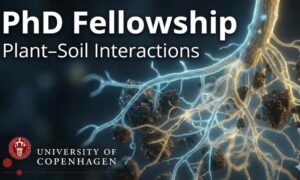 PhD Fellowship in Plant-Soil Interactions | University of Copenhagen