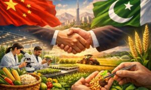 Chinese Agritech Firm Seeks Seed Breeding Partnerships in Pakistan