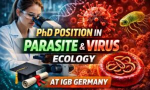 PhD Position in Parasite and Virus Ecology at IGB Germany | Fully Funded