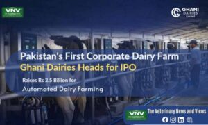 Pakistan’s First Corporate Dairy Farm Ghani Dairies Heads for IPO