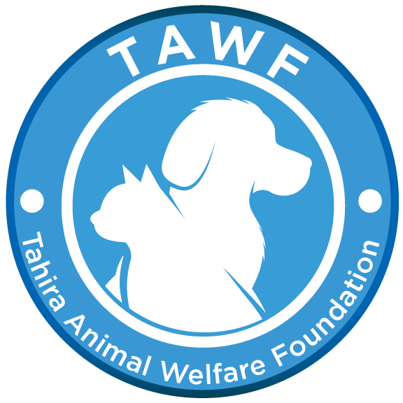TAWF Logo