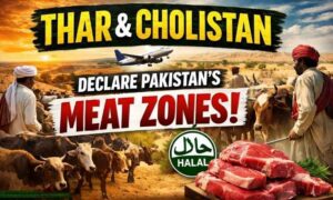 Thar & Cholistan Meat Zones — Pakistan’s Strategic Livestock Export Opportunity