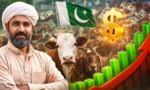 Climate-Smart Livestock in Pakistan – A Billion-Dollar Opportunity for Farmers