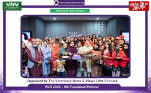 IWD-2026
