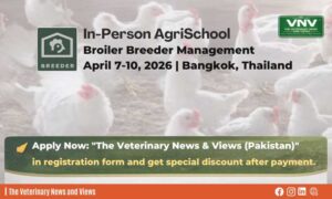 Broiler Breeder Management