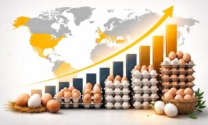 worlds-top-10-egg-producing-companies-in-2026