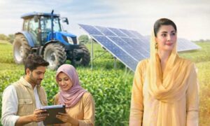 Punjab Sets Rs 70,000 Monthly Stipend for Agriculture Interns
