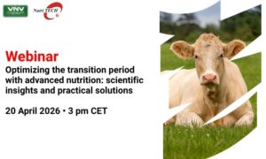 2026 Ruminant Webinar Series: Optimizing Transition Period Nutrition in Dairy Cows