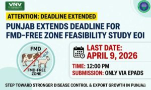 Punjab Extends Deadline for FMD Free Zone Study EOI | Livestock News