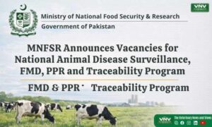 MNFSR Jobs 2026 Announced – Apply Now