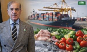 Pakistan Food Exports to Gulf Countries Accelerated with Improved Port Efficiency