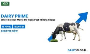 Dairy Prime: Where Science Meets the Right Post-Milking Choice