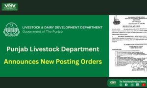 Punjab Livestock Department Announces New Posting Orders