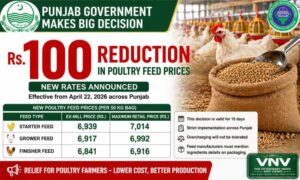 Punjab poultry feed rates 2026