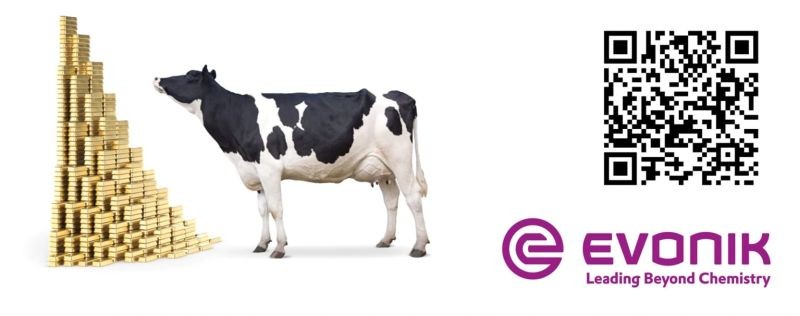 Evonik webinar poster about resilience switch in transition cows