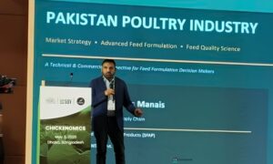 Pakistan Poultry Industry Faces Rising Feed Costs Shift Toward Precision Nutrition