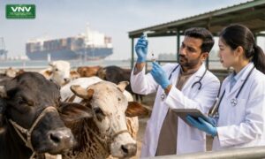 Pakistan China Vaccine Initiative May Boost Livestock Exports