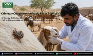 A serious tick-borne viral zoonotic disease linked with livestock, human health and One Health prevention