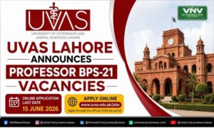 UVAS Lahore has announced Professor BPS-21
