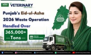 Punjab's Eid-ul-Azha 2026 Waste Operation Handled Over