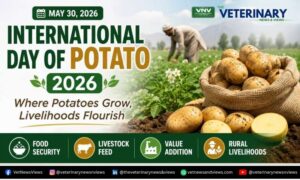 International Day of Potato 2026