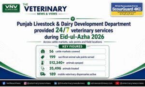 Punjab Livestock & Dairy Development Department provided 24/7 veterinary services