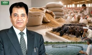 Soybean Meal Crisis Hits Poultry Livestock and Aqua Farmers in India