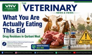 What You Are Actually Eating This Eid - Drug Residues