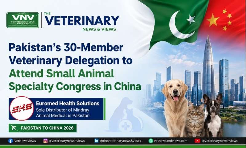 Pakistan to China 2026, 30-member Pakistani veterinary delegation to attend the Small Animal Veterinary Specialty Congress in Shenzhen