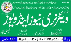 شمارہ نمبر 47 والیوم 18: تازہ ترین نیوز اور ویوز (16-23 اکتوبر 2023)